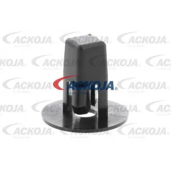 Écrou ACKOJA A70-0219
