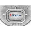 Pompe d'eau de nettoyage, nettoyage des vitres ACKOJA A70-08-0004 - Visuel 2