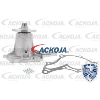 Pompe à eau ACKOJA