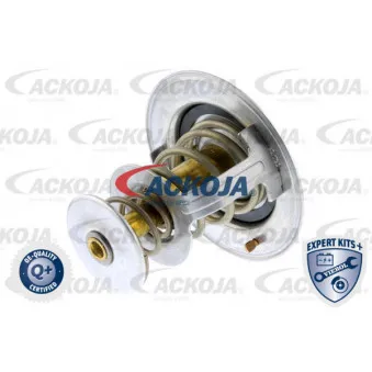 Thermostat d'eau ACKOJA A70-99-0001