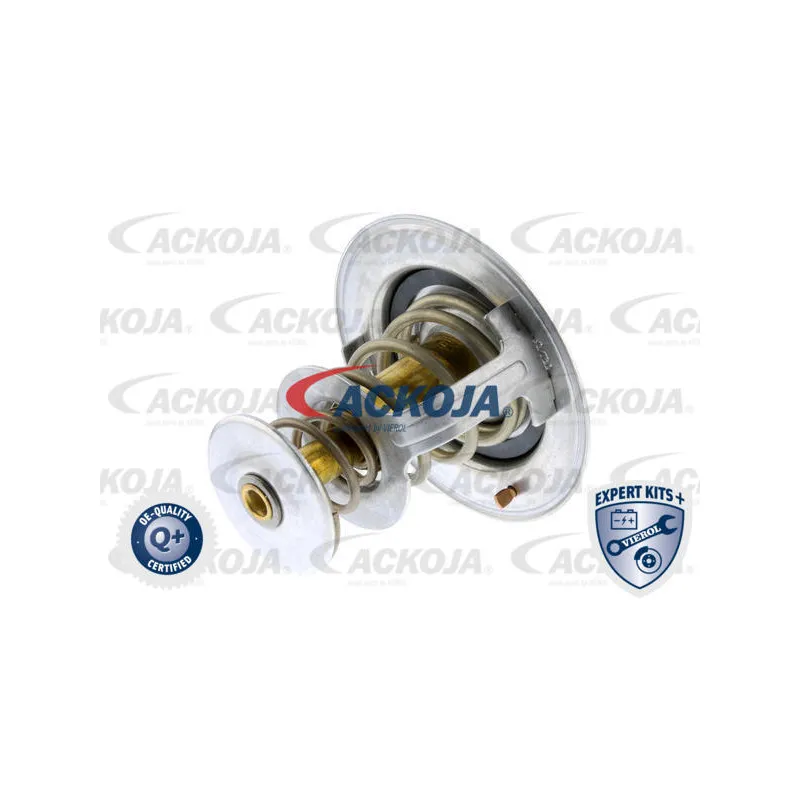 Thermostat d'eau ACKOJA A70-99-0001