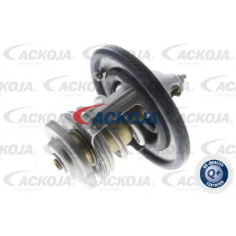 Thermostat d'eau ACKOJA A70-99-0002