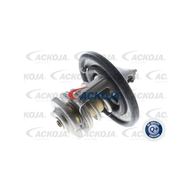 Thermostat d'eau ACKOJA A70-99-0002