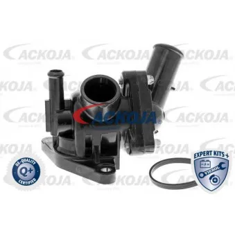 Thermostat d'eau ACKOJA A70-99-0032