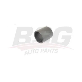 Gaine de suralimentation BSG BSG 15-720-114