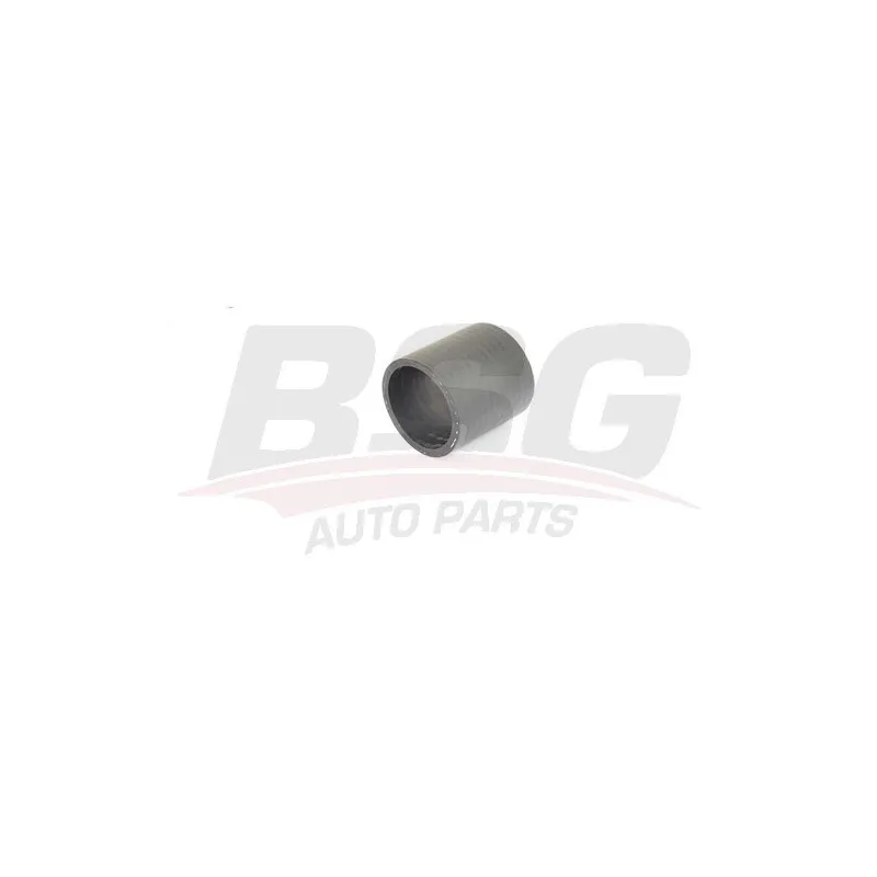 Gaine de suralimentation BSG BSG 15-720-114