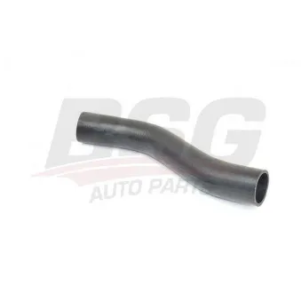 Gaine de suralimentation BSG BSG 15-720-115