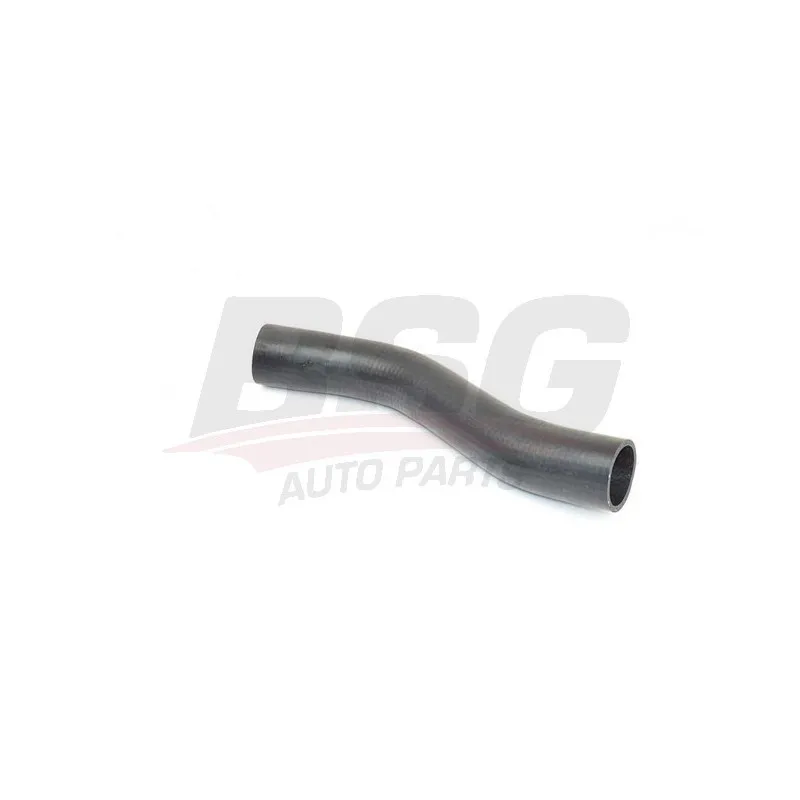 Gaine de suralimentation BSG BSG 15-720-115