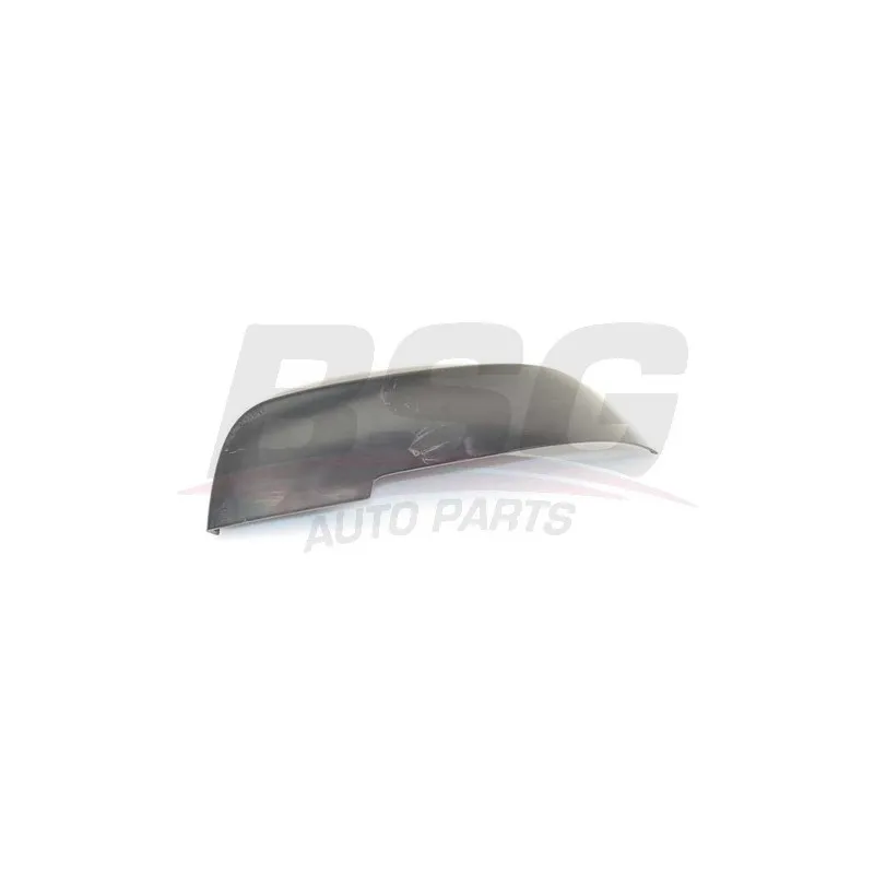 Revêtement, rétroviseur extérieur BSG BSG 15-900-040