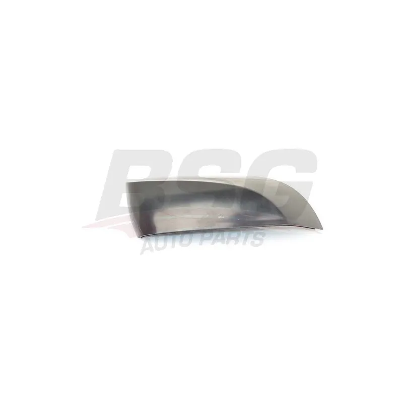 Revêtement, rétroviseur extérieur BSG BSG 15-900-043