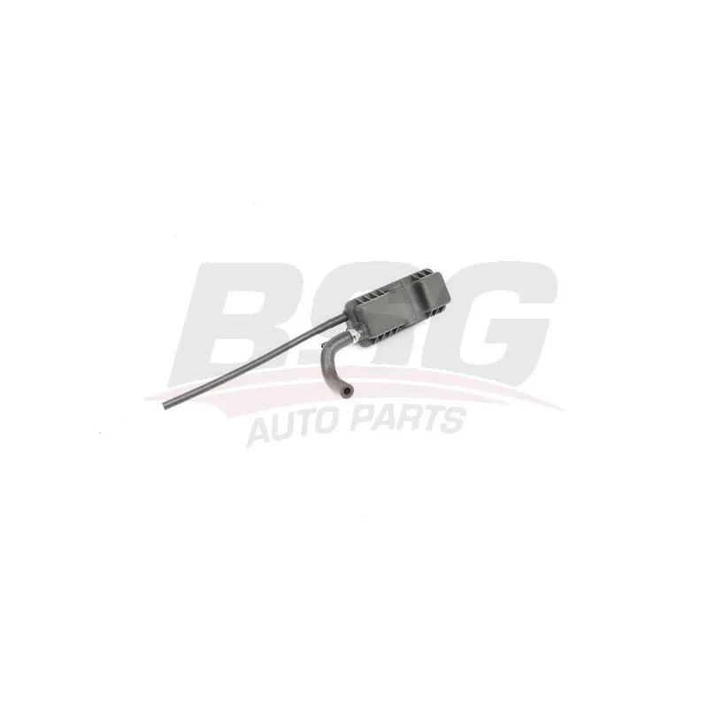 Tuyau, carburant de fuite BSG BSG 25-150-001
