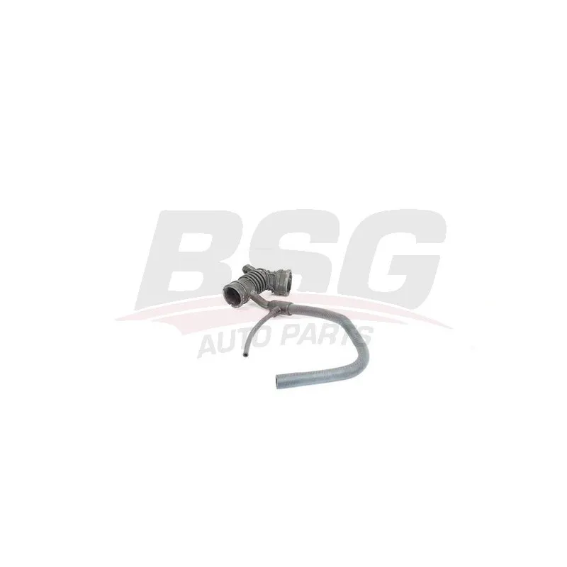 Tuyau d'aspiration, alimentation d'air BSG BSG 25-720-010