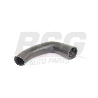 Gaine de suralimentation BSG BSG 25-720-033