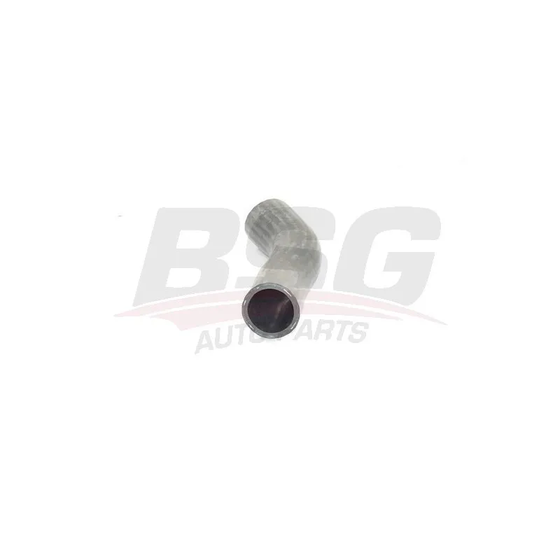 Gaine de suralimentation BSG BSG 25-720-048