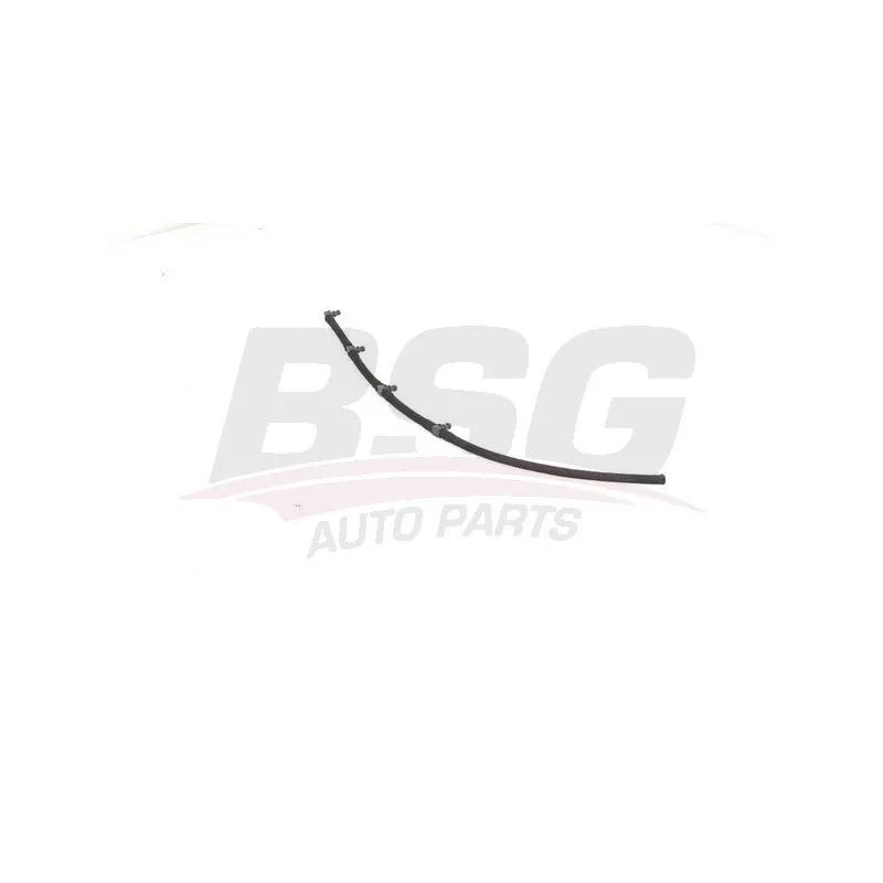 Tuyau, carburant de fuite BSG BSG 25-725-012