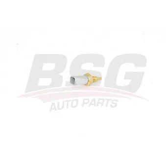 Sonde de température, liquide de refroidissement BSG BSG 25-840-005