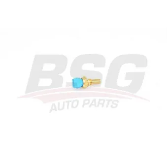 Sonde de température, liquide de refroidissement BSG BSG 25-840-008