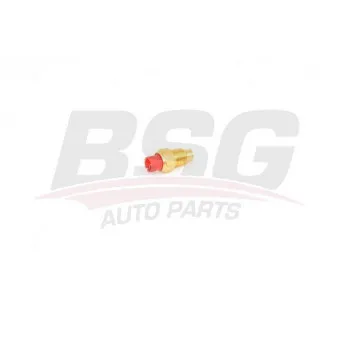 Sonde de température, liquide de refroidissement BSG BSG 25-840-009