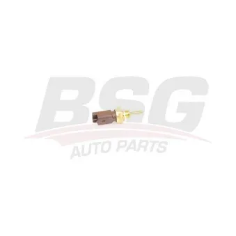 Sonde de température, liquide de refroidissement BSG BSG 25-840-011