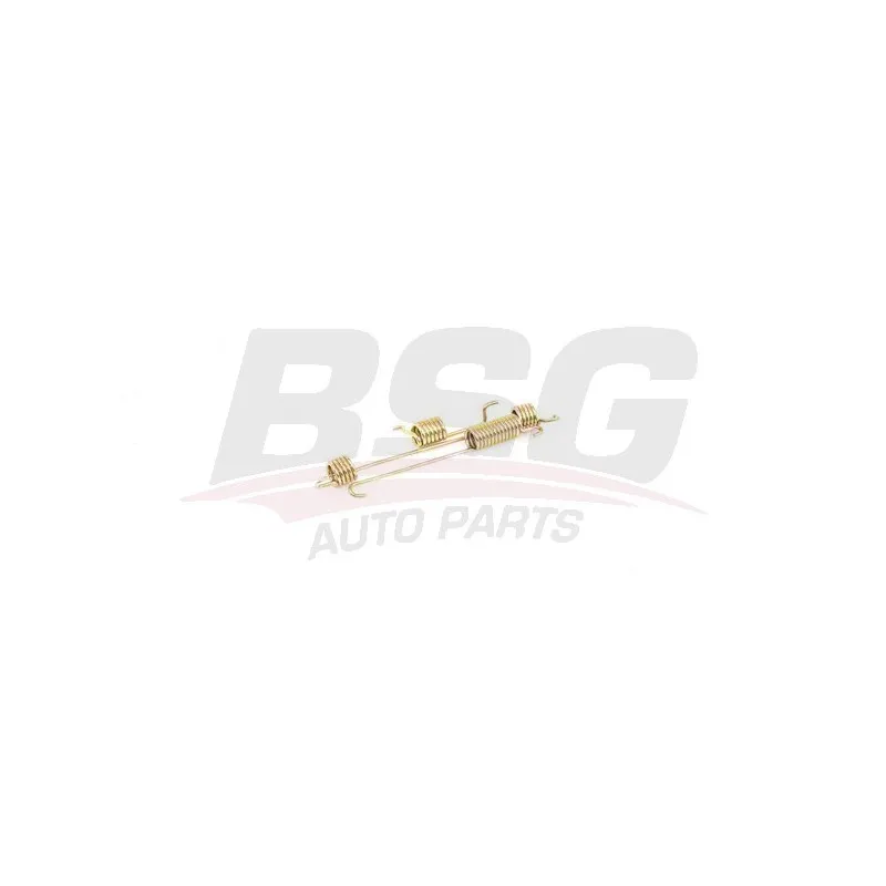 Kit d'accessoires, mâchoire de frein BSG BSG 30-260-010