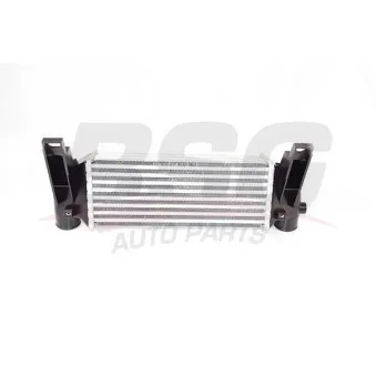 Intercooler, échangeur BSG BSG 30-535-004
