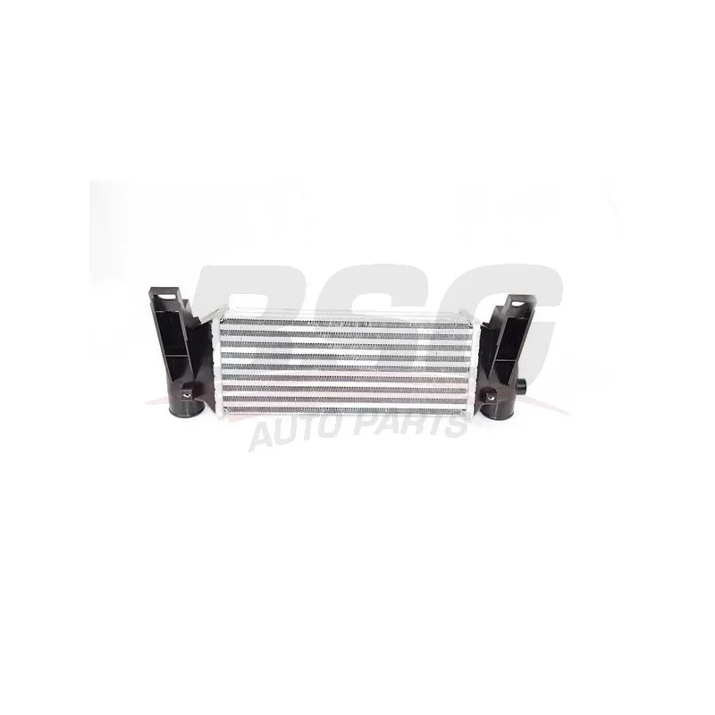Intercooler, échangeur BSG BSG 30-535-004