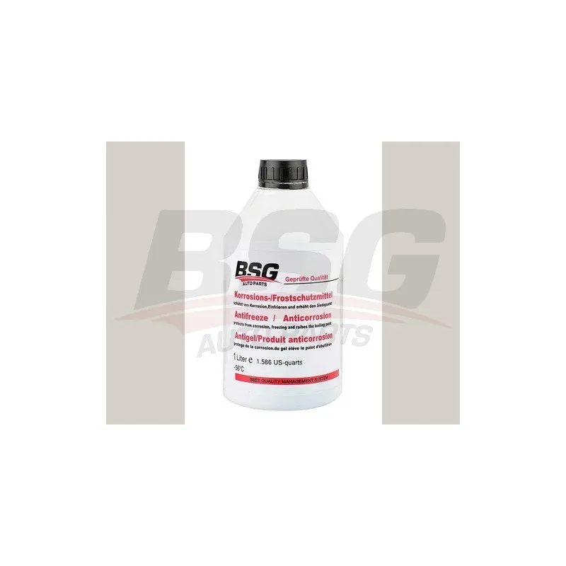 Antigel BSG BSG 30-555-003