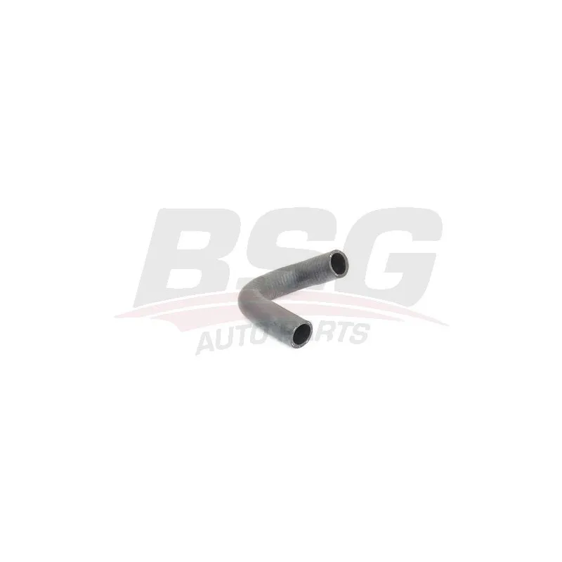 Durite de radiateur BSG BSG 30-720-231