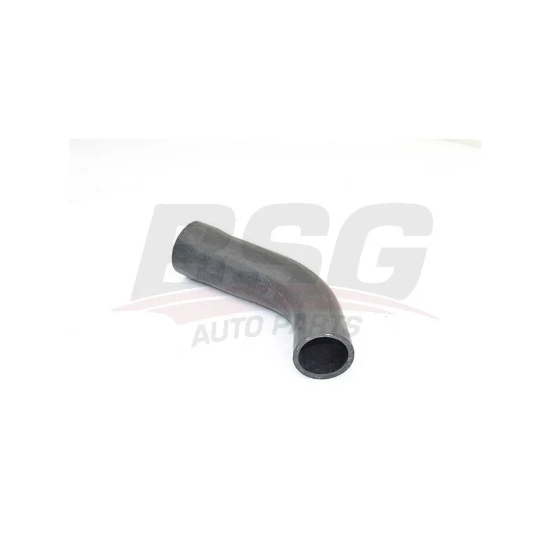 Gaine de suralimentation BSG BSG 30-720-256