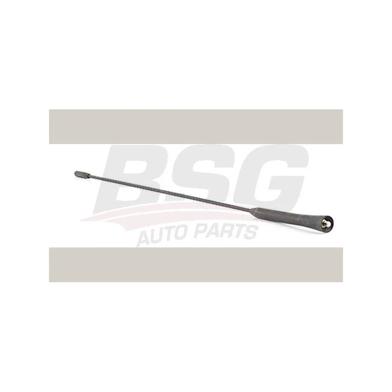 Antenne BSG BSG 30-922-111