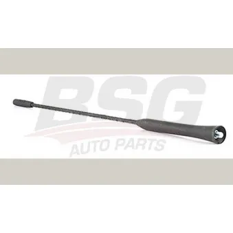 Antenne BSG BSG 30-922-112