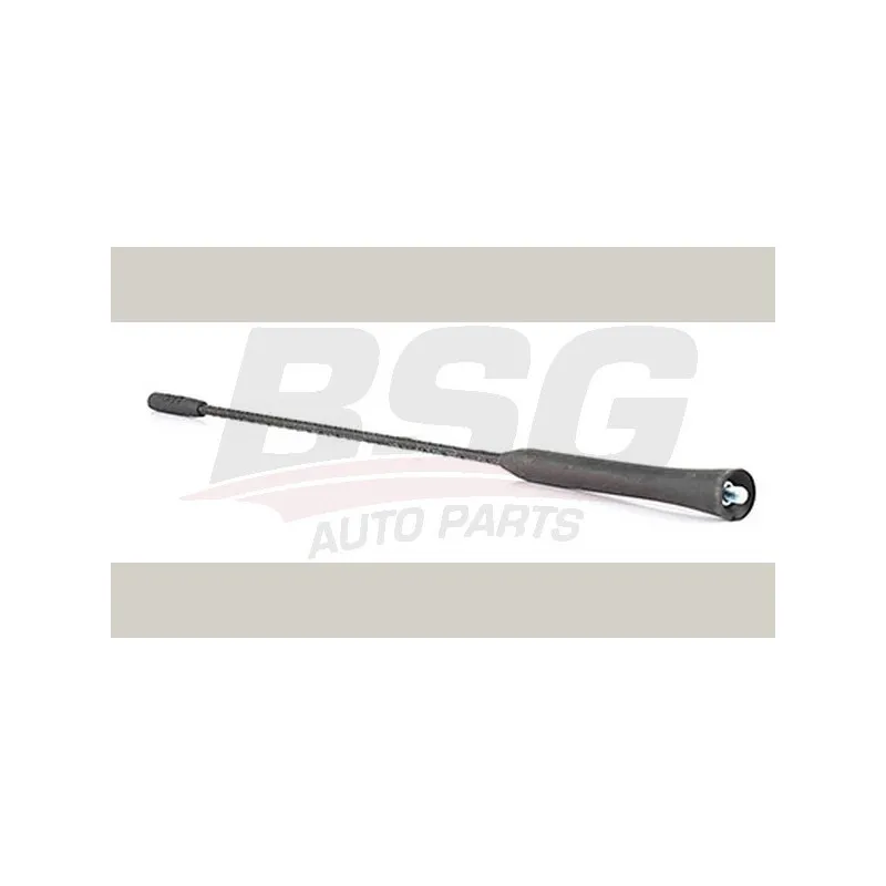 Antenne BSG BSG 30-922-112