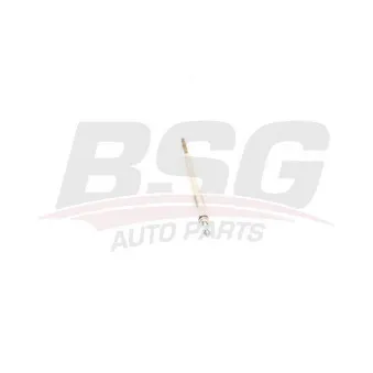 Bougie de préchauffage BSG BSG 40-870-005