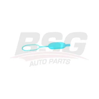 Bouchon, réservoir d'eau de nettoyage BSG BSG 60-551-001