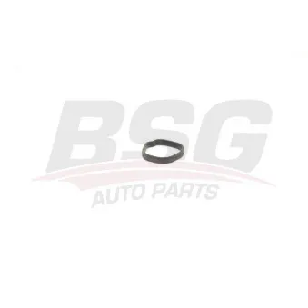 Joint d'étanchéité, thermostat BSG BSG 65-720-162