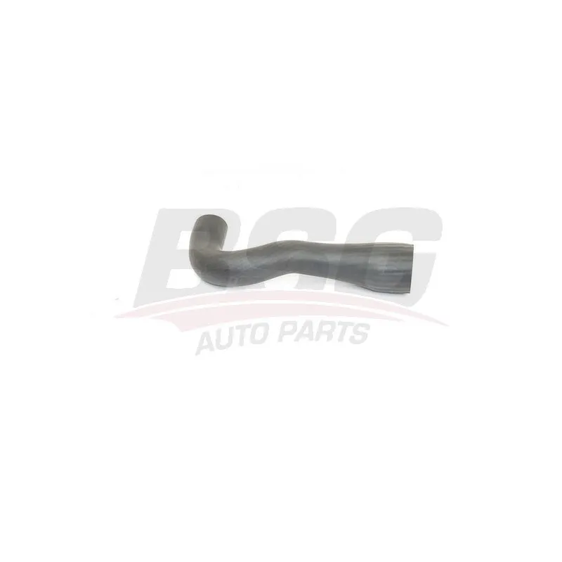 Gaine de suralimentation BSG BSG 65-720-199
