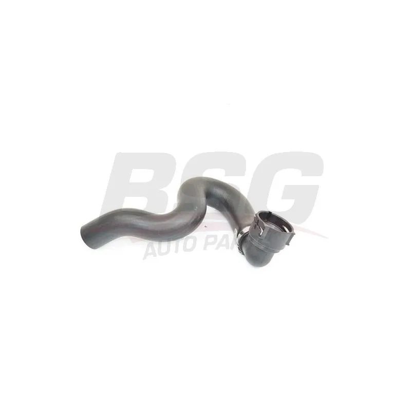 Durite de radiateur BSG BSG 65-720-200