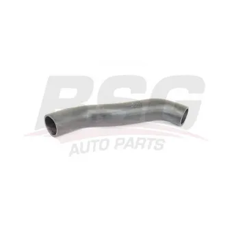 Gaine de suralimentation BSG BSG 65-720-208