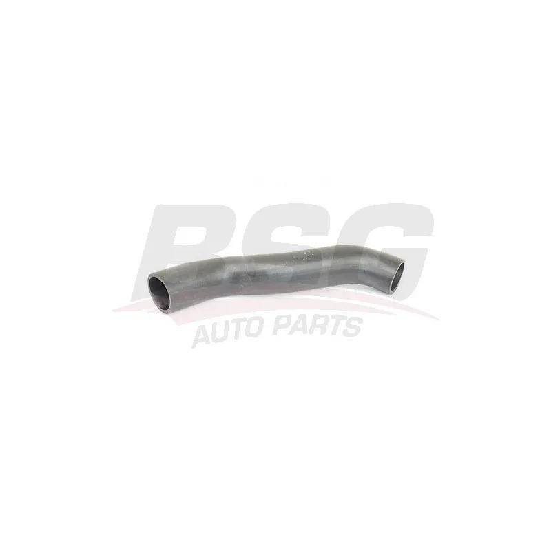 Gaine de suralimentation BSG BSG 65-720-208