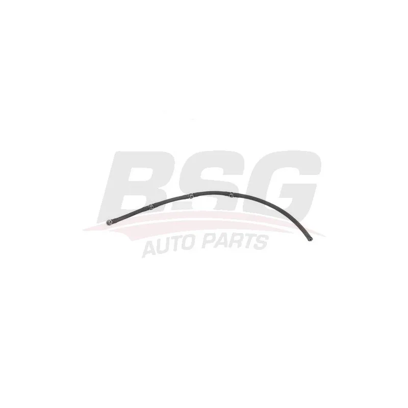 Tuyau, carburant de fuite BSG BSG 65-725-010