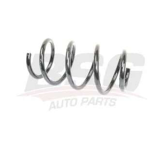 Ressort de suspension BSG BSG 70-305-006