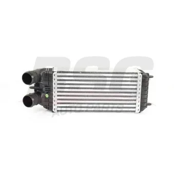 Intercooler, échangeur BSG BSG 70-535-001