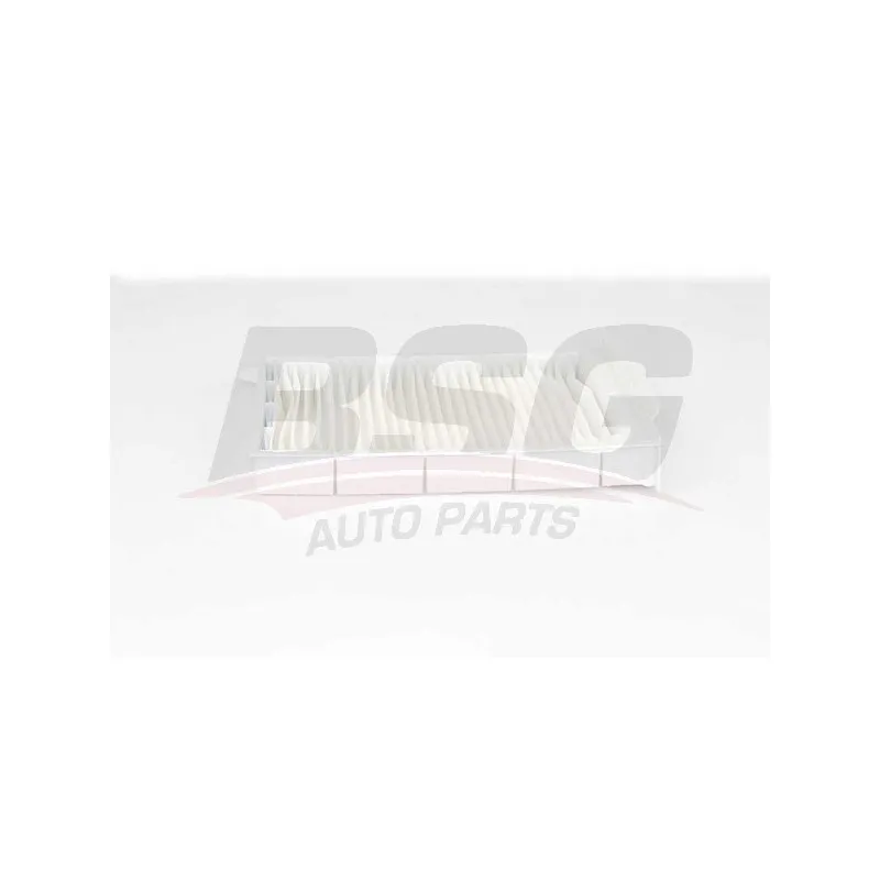 Filtre, air de l'habitacle BSG BSG 75-145-002