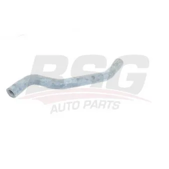 Durite de radiateur BSG BSG 75-720-023