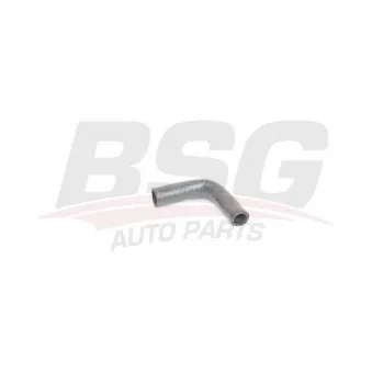 Tuyau d'huile BSG BSG 75-720-025