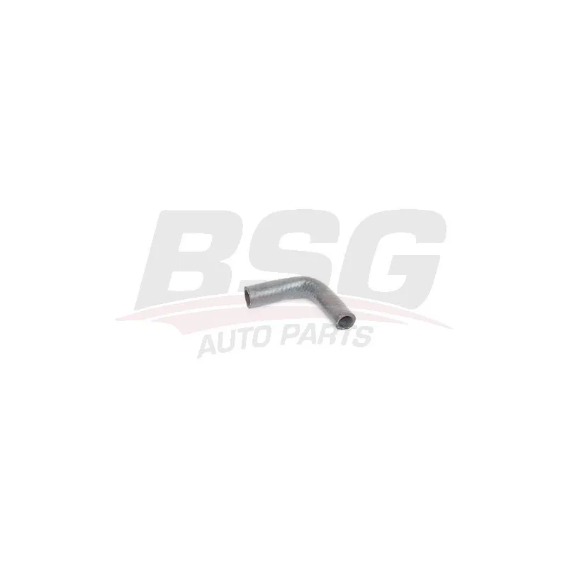 Tuyau d'huile BSG BSG 75-720-025