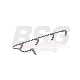 Tuyau, carburant de fuite BSG BSG 75-725-001