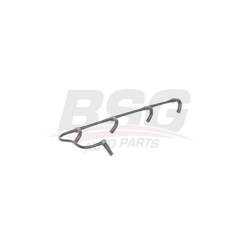 Tuyau, carburant de fuite BSG BSG 75-725-001
