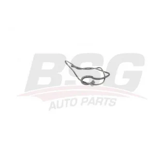 Tuyauterie de carburant BSG BSG 75-725-003