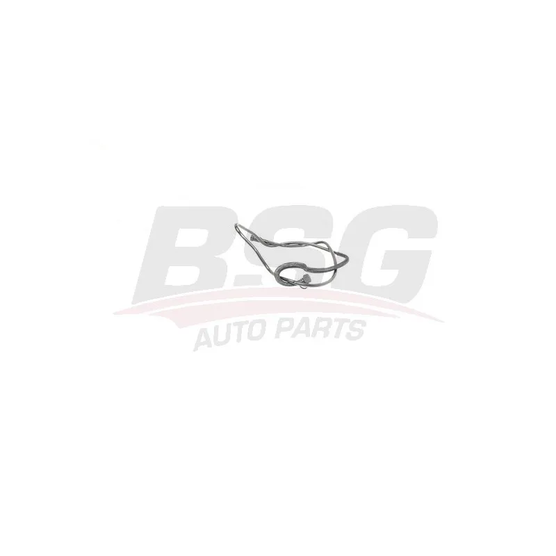 Tuyauterie de carburant BSG BSG 75-725-003